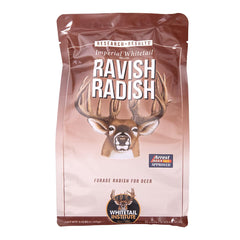Whitetail Institute Ravish Radish seed pack attracting deer in fall forage