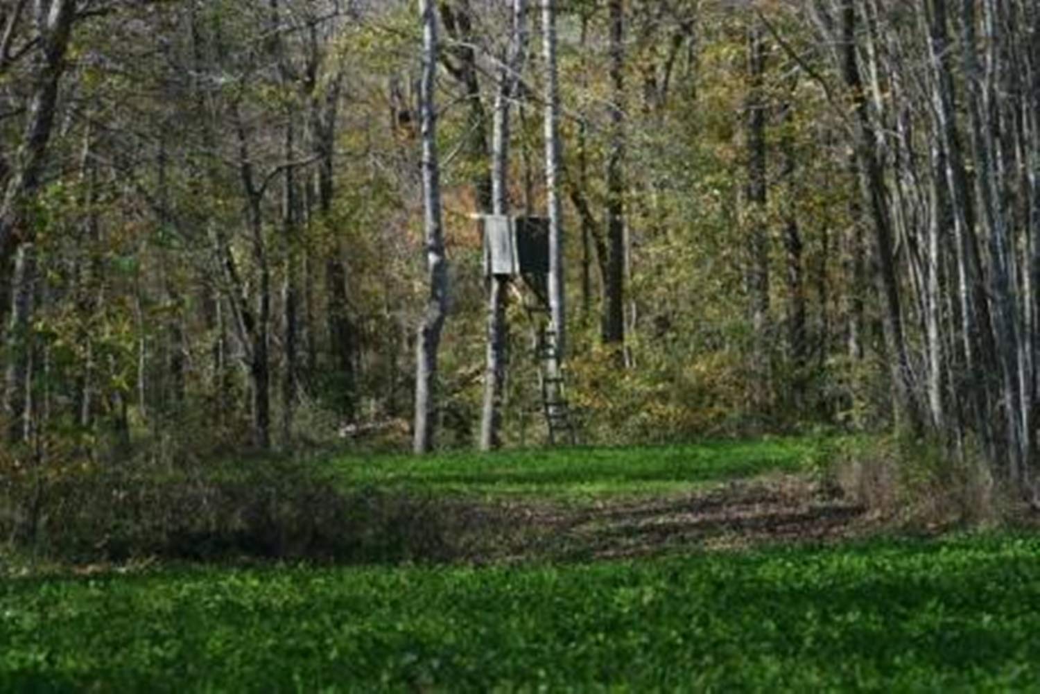Whitetail Institute Secret Spot hand tools ready planting with no heavy equipment needed.