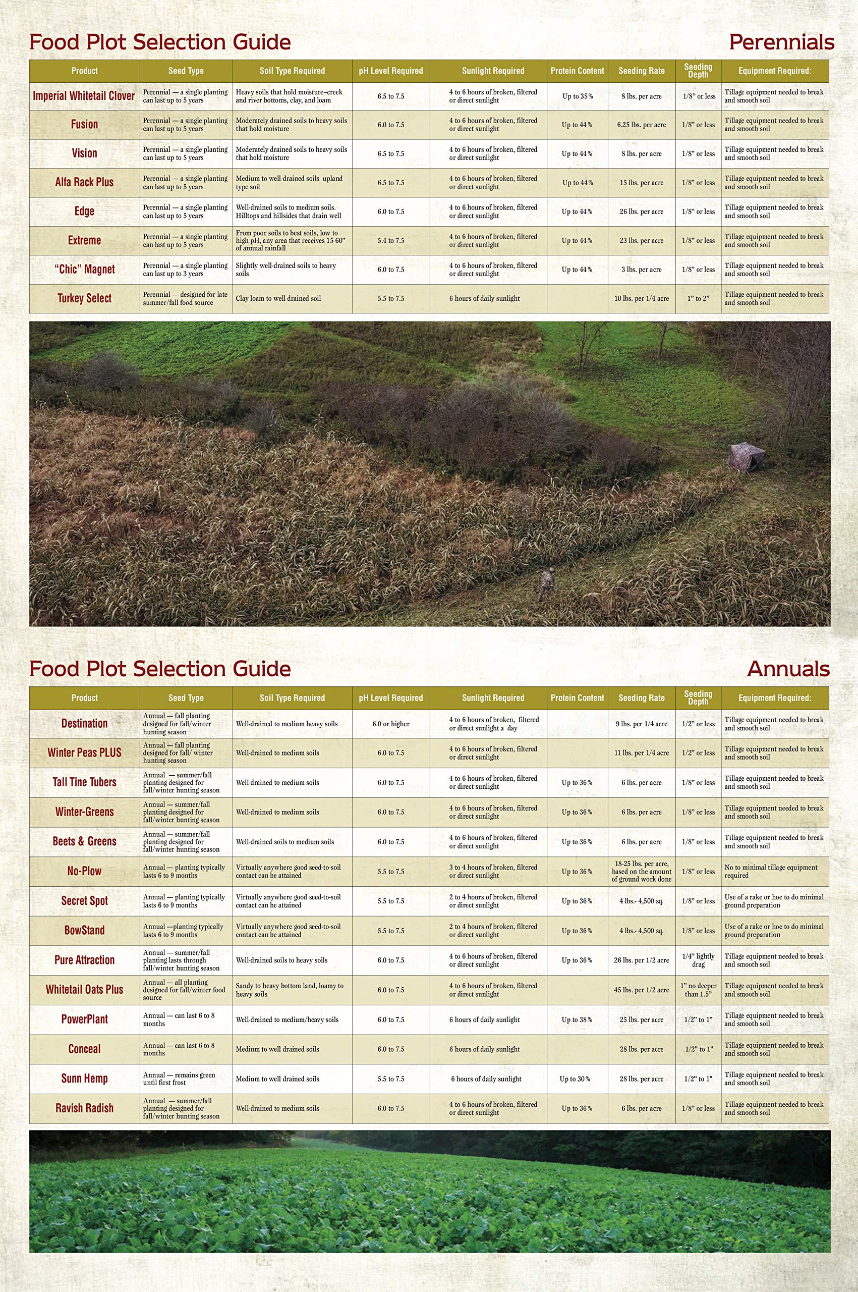 Winter-Greens fortified with tall-tine turnip for enhanced forage