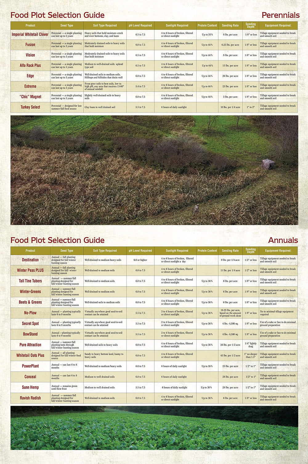 Winter-Greens fortified with tall-tine turnip for enhanced forage