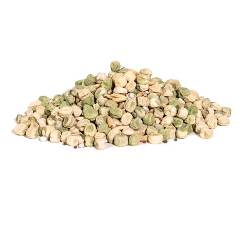 Whitetail Institute Winter Peas Plus field plot setup showing diverse forage mix.