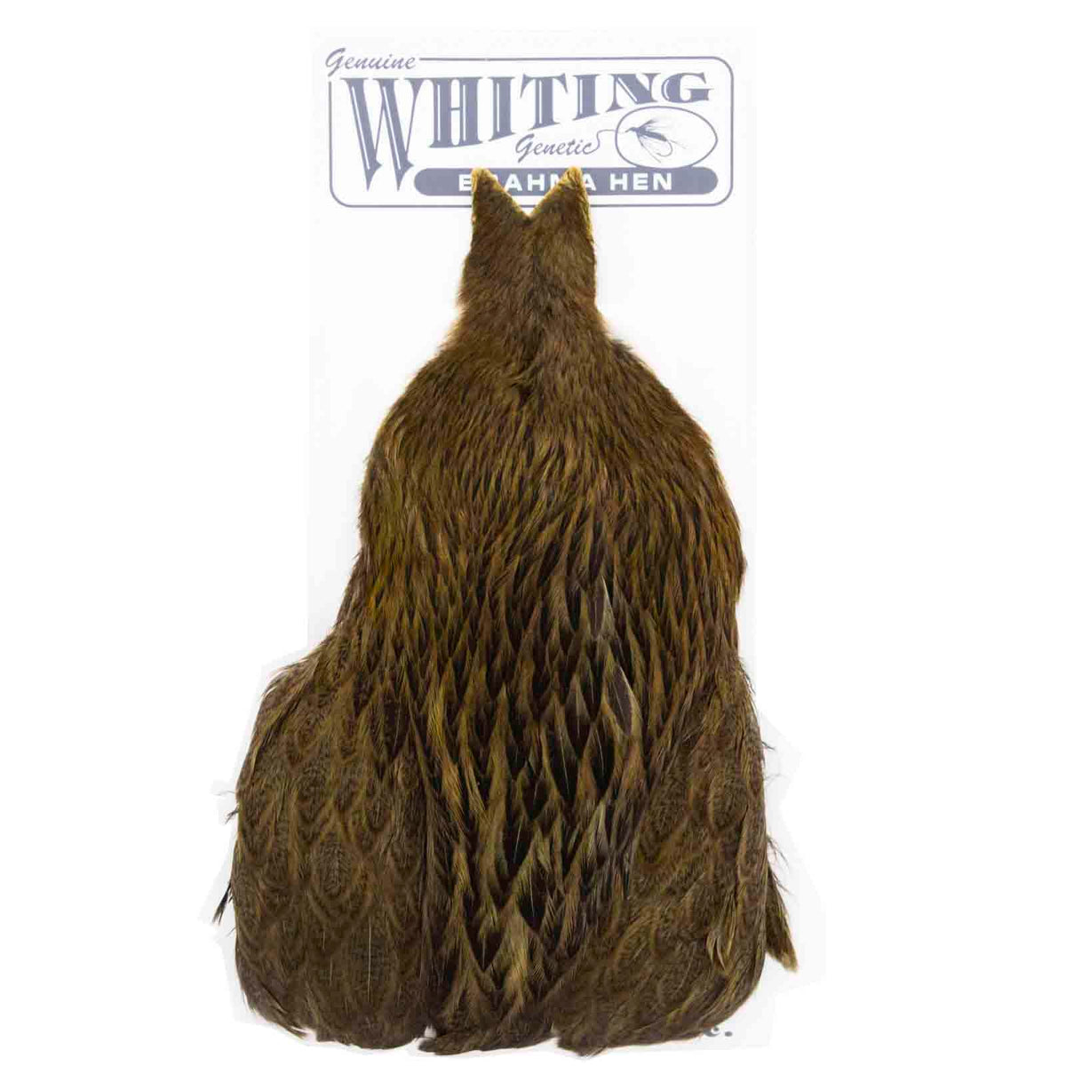 Whiting Farms Brahma hen cape in badger dyed dark olive, perfect for soft hackle collars on nymphs