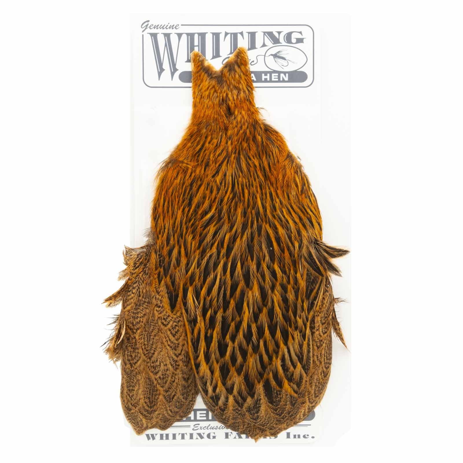 Whiting Farms Brahma Hen Cape, badger dyed golden brown, ideal for soft hackle collars.
