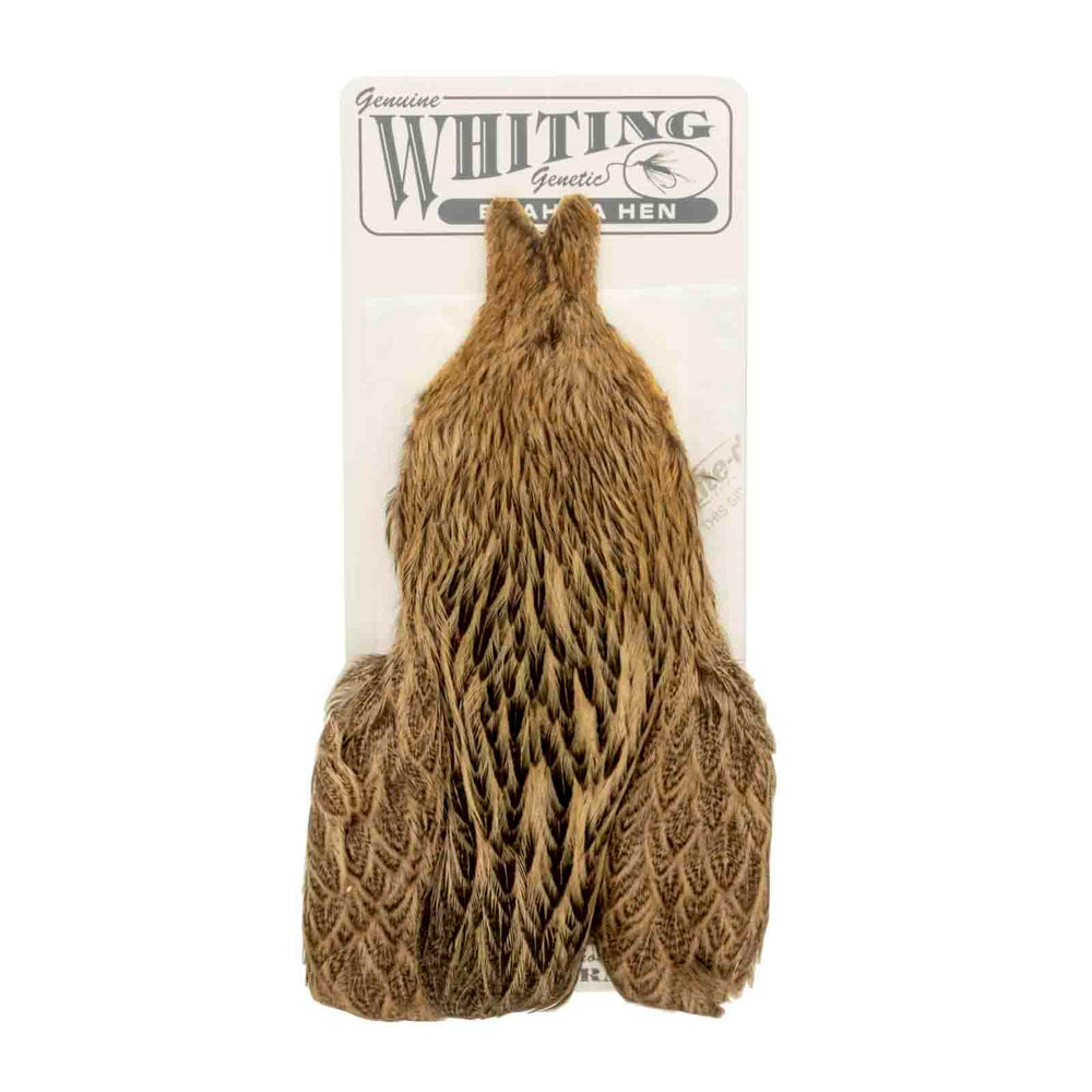 Whiting Farms Brahma Hen Cape for soft hackle; ideal collar for nymphs and wet flies