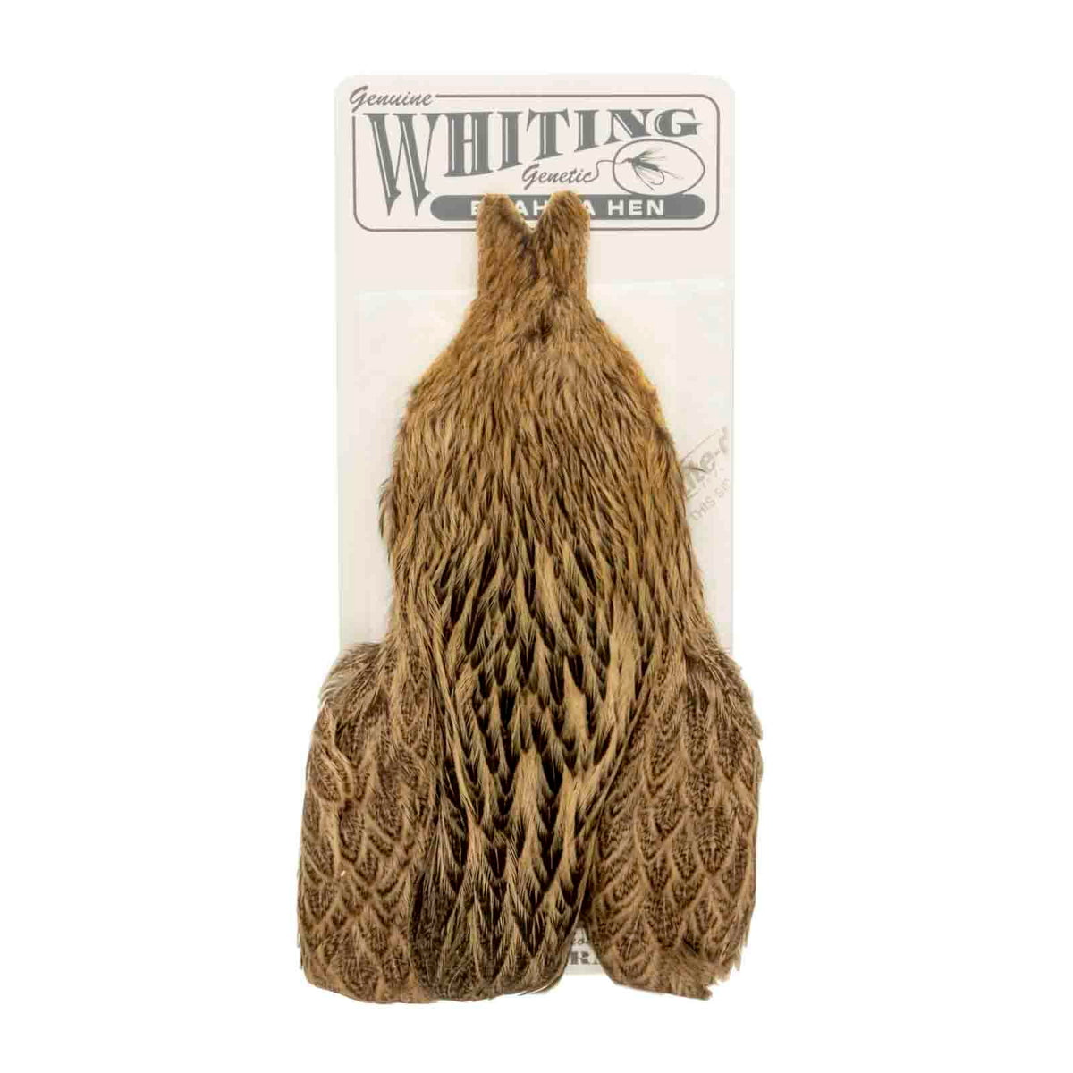 Whiting Farms Brahma Hen Cape for soft hackle; ideal collar for nymphs and wet flies