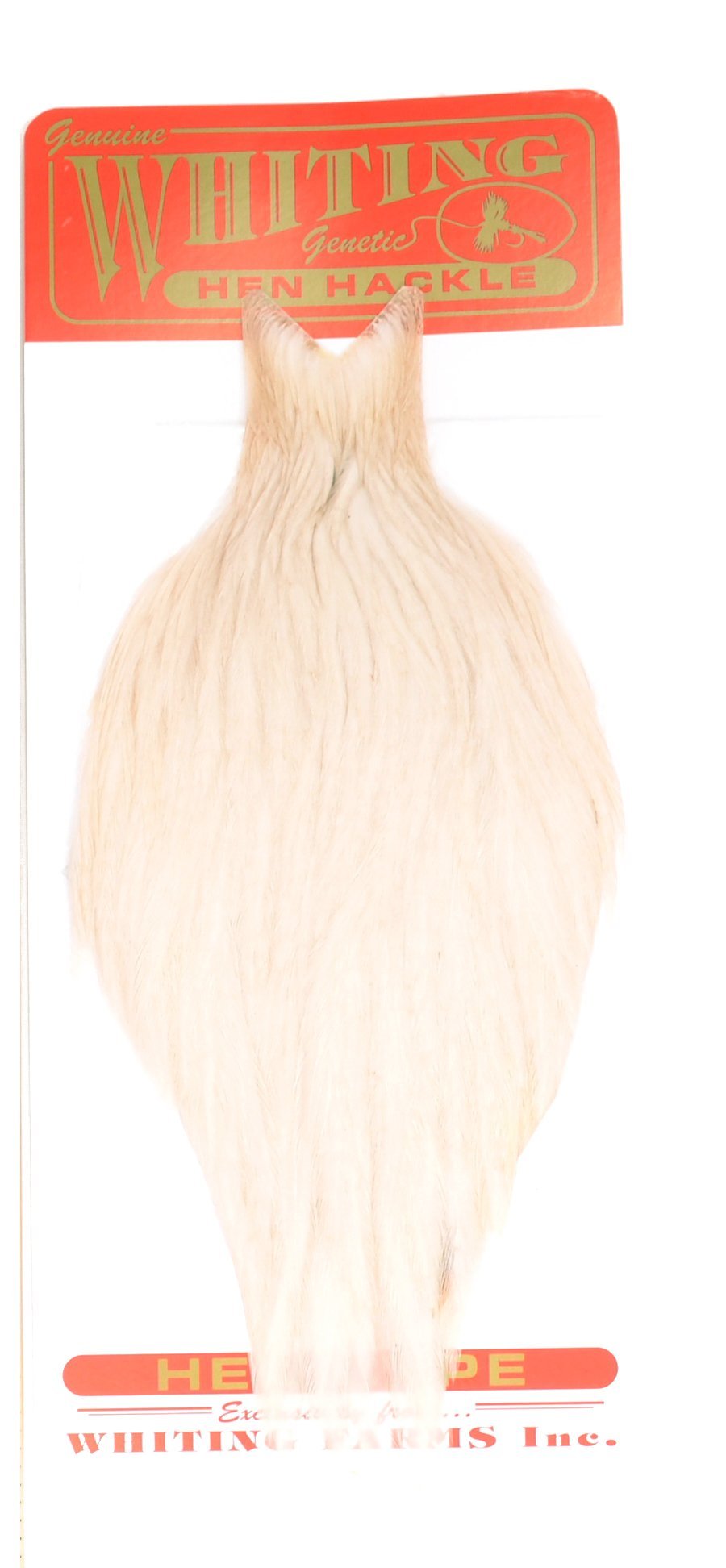 Whiting Farms Hen Cape White feather ideal for upright dry fly wings and versatile ties