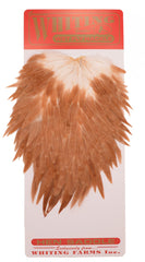 Whiting Farms Hen Saddle Medium Ginger feather for durable trout wings and collars.