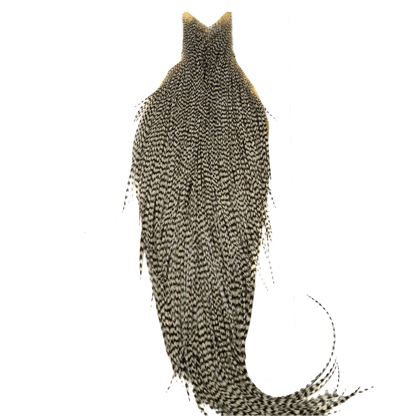 Whiting Farms High & Dry Cape close-up feathers show durable hackle for versatile dries