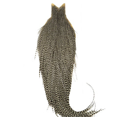 Whiting Farms High & Dry Cape close-up feathers show durable hackle for versatile dries