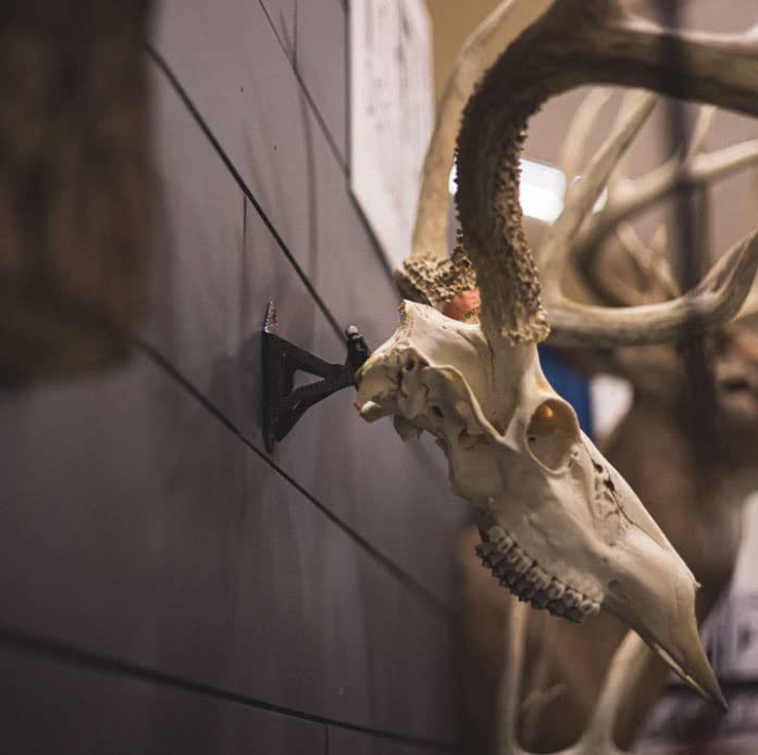 Wicked North Hang Up wall-mount presentation offers a dramatic trophy angle.