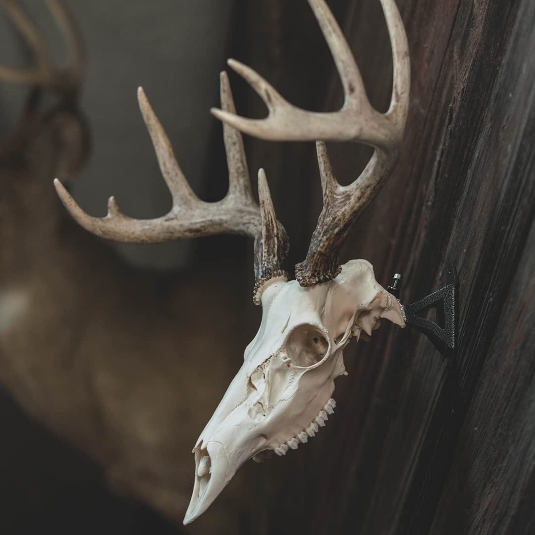 Wicked North Hang Up detail highlights universal-fit design for medium skulls.