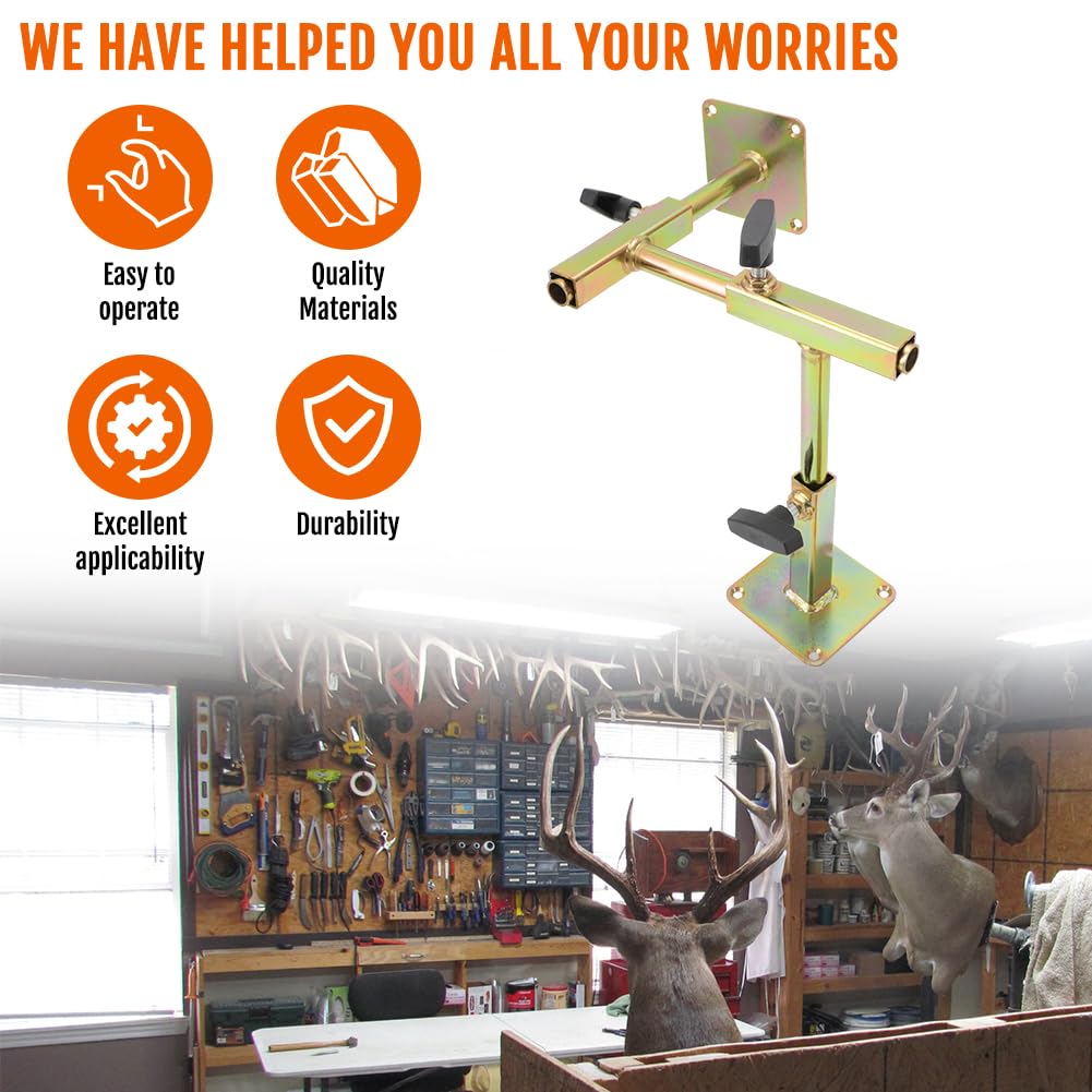 WIKIBB durable steel construction supports long-term taxidermy projects.
