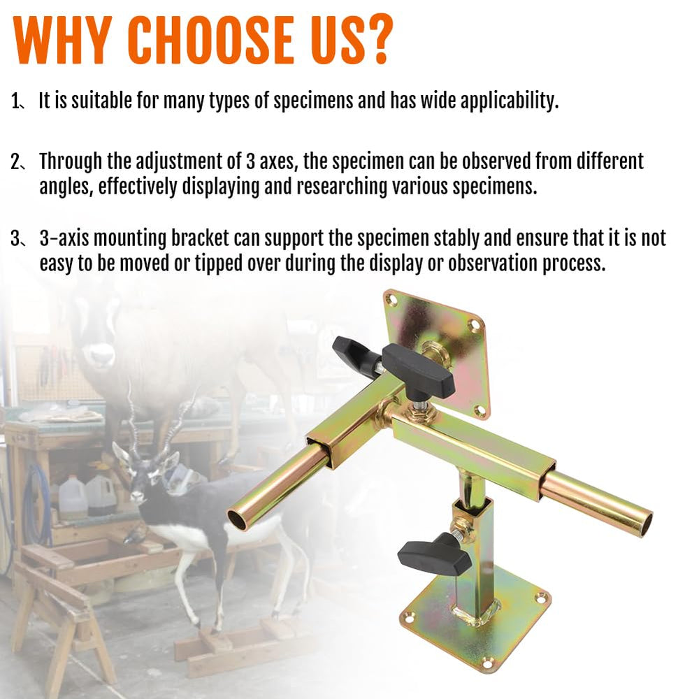 WIKIBB universal 3-axis stand accommodates small to large specimens.