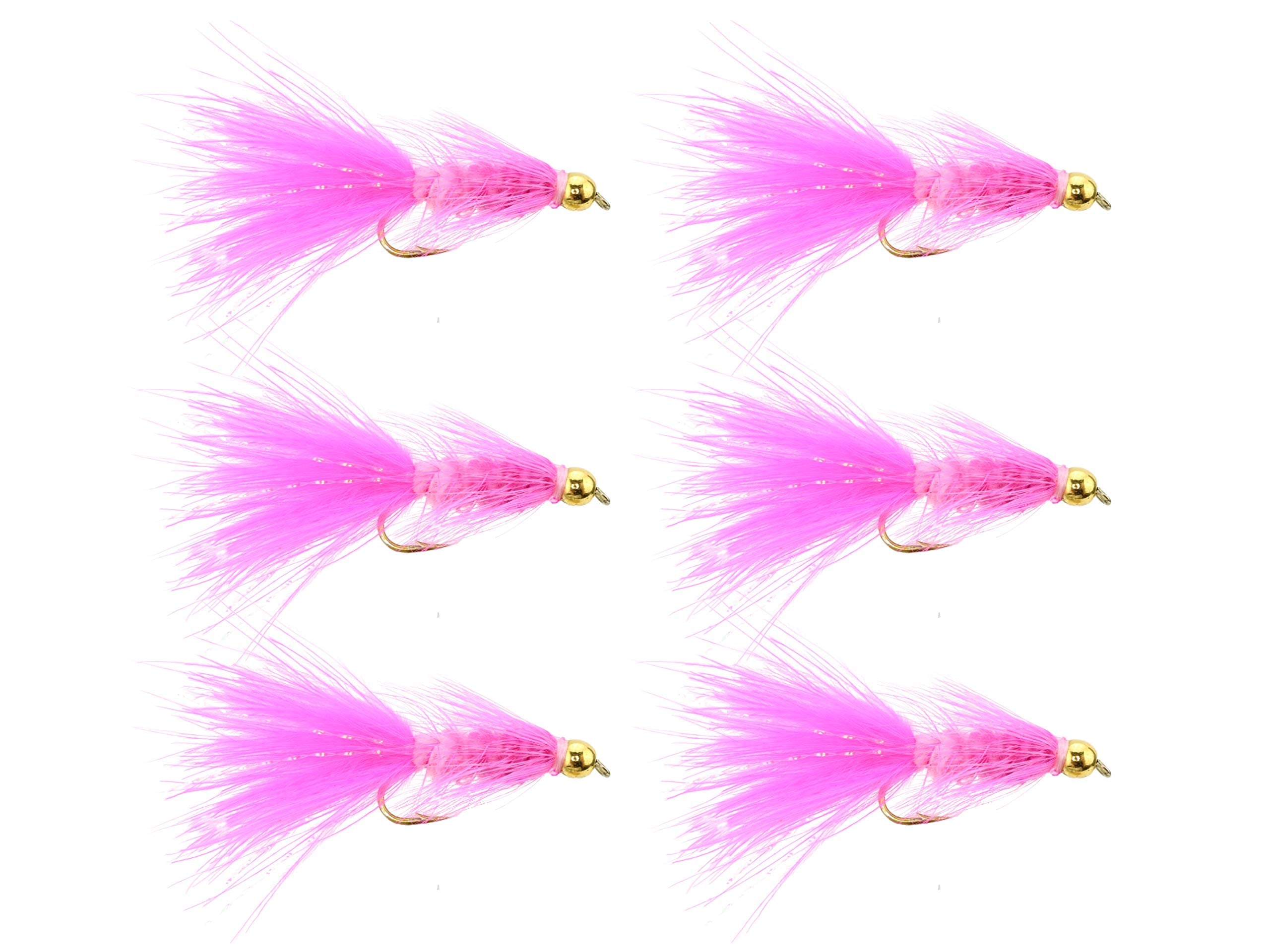 Pink Bee Rigs Wild Water Bead Head Pink Woolly Bugger Flies โ Size 10, 6 Pack for Tr ...