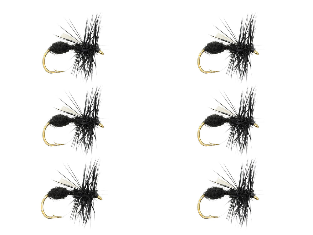 Wild Water Black Winged Ant dry fly size 12 closeup for surface-feeding trout.