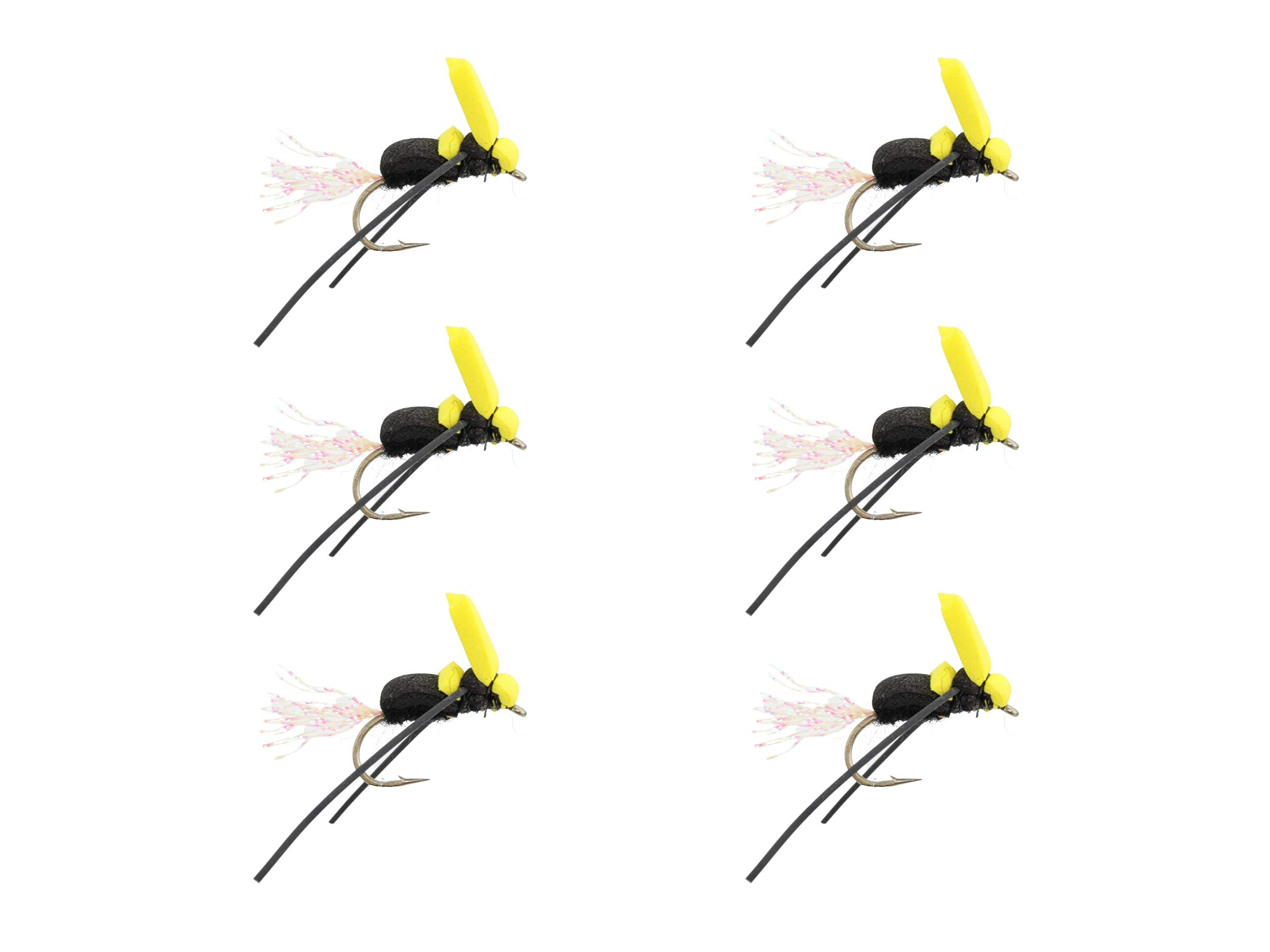 Wild Water Bumblebee dry fly size 12 mirrors surface insects for feeding trout