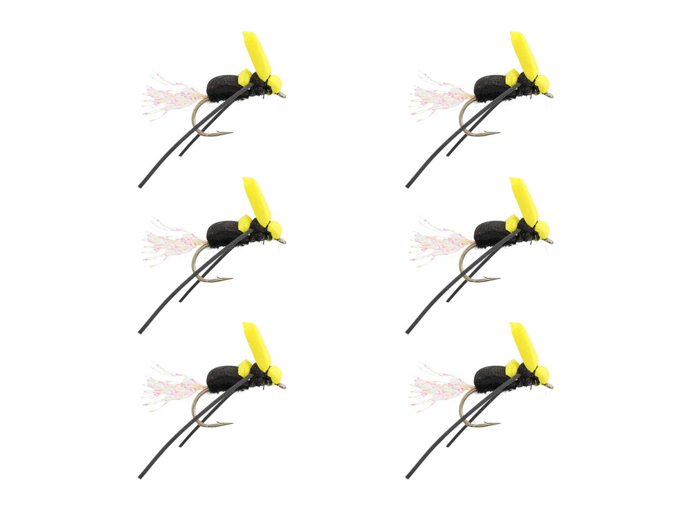 Wild Water Bumblebee dry fly size 12 mirrors surface insects for feeding trout
