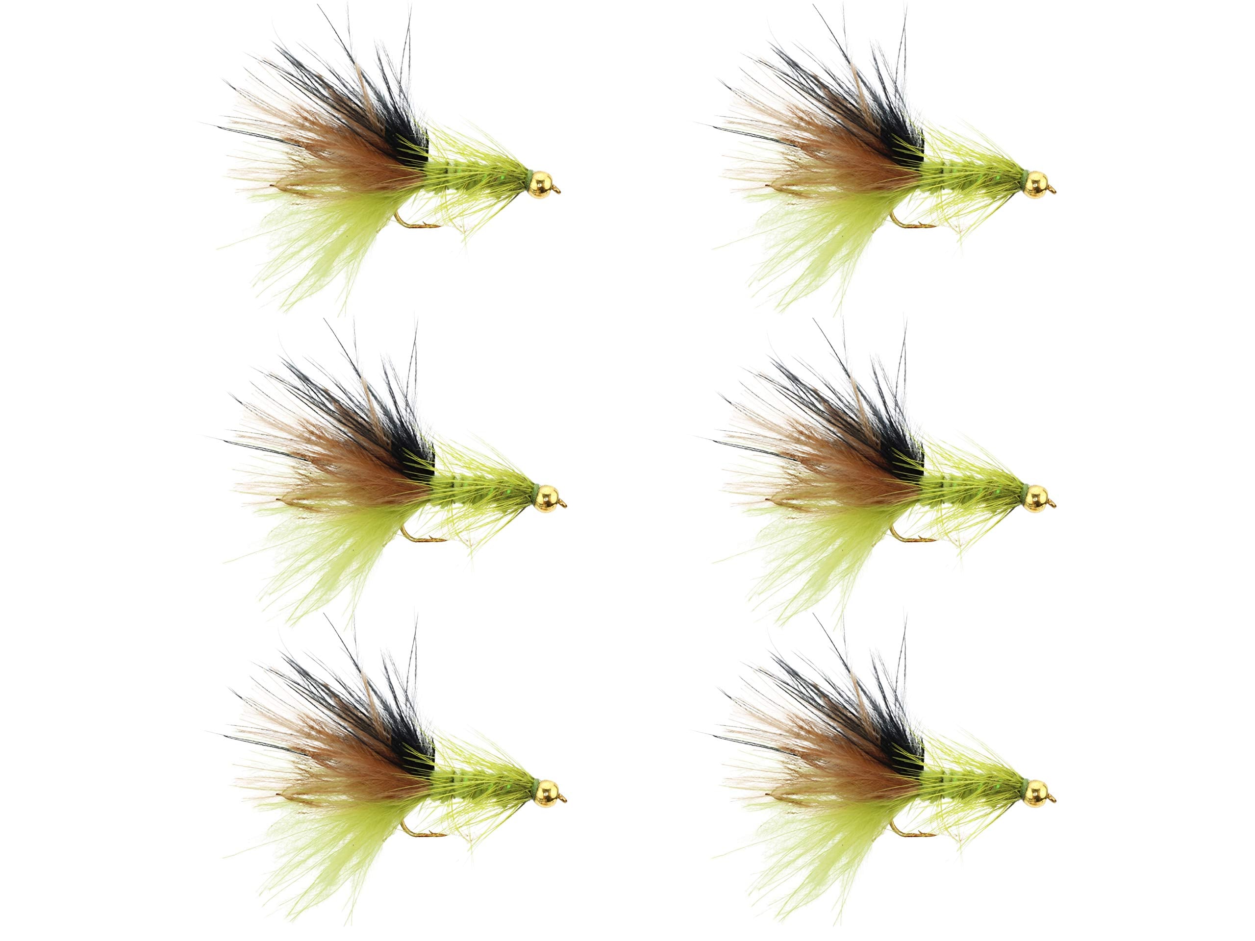 Wild Water Woolly Bugger 6-pack packaging ready for quick river access.
