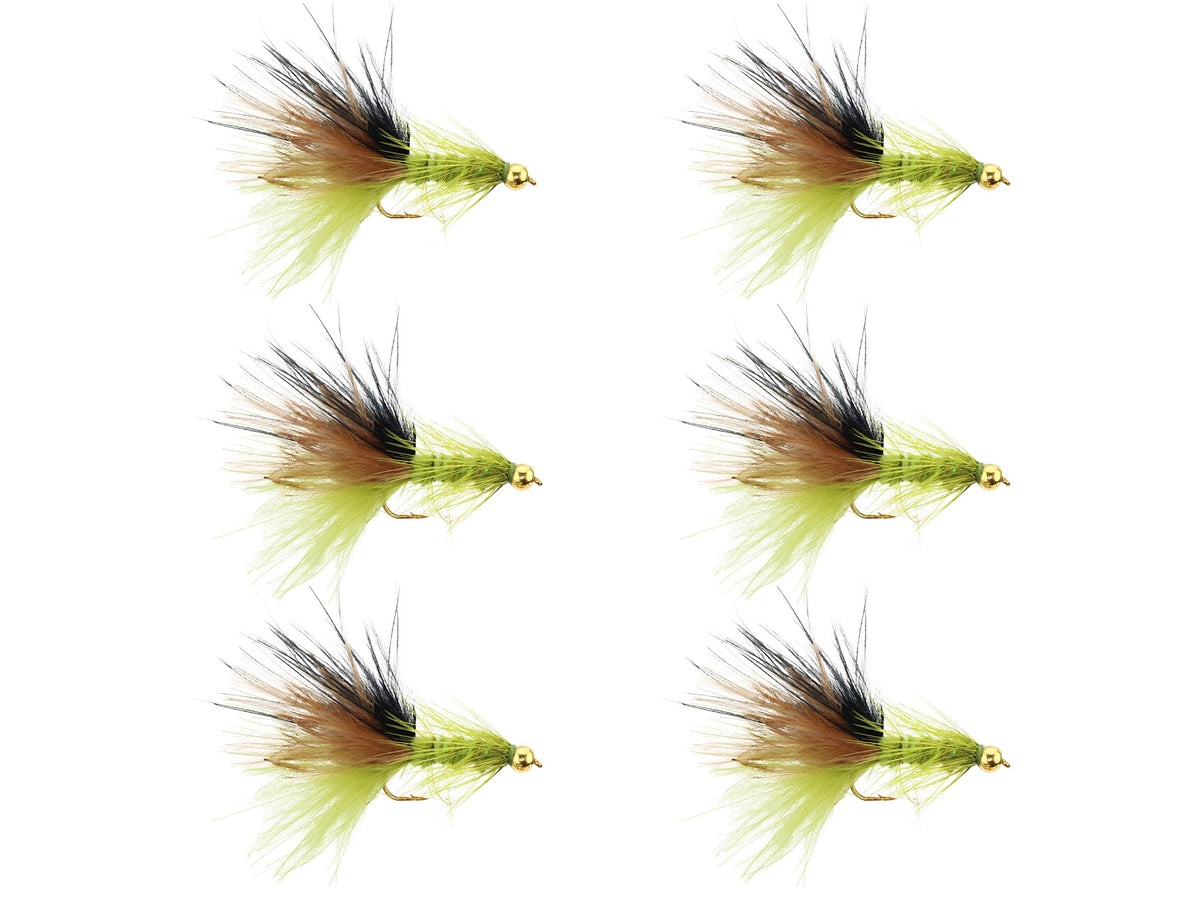 Wild Water Woolly Bugger 6-pack packaging ready for quick river access.