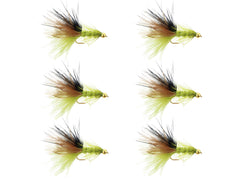 Wild Water Woolly Bugger 6-pack packaging ready for quick river access.