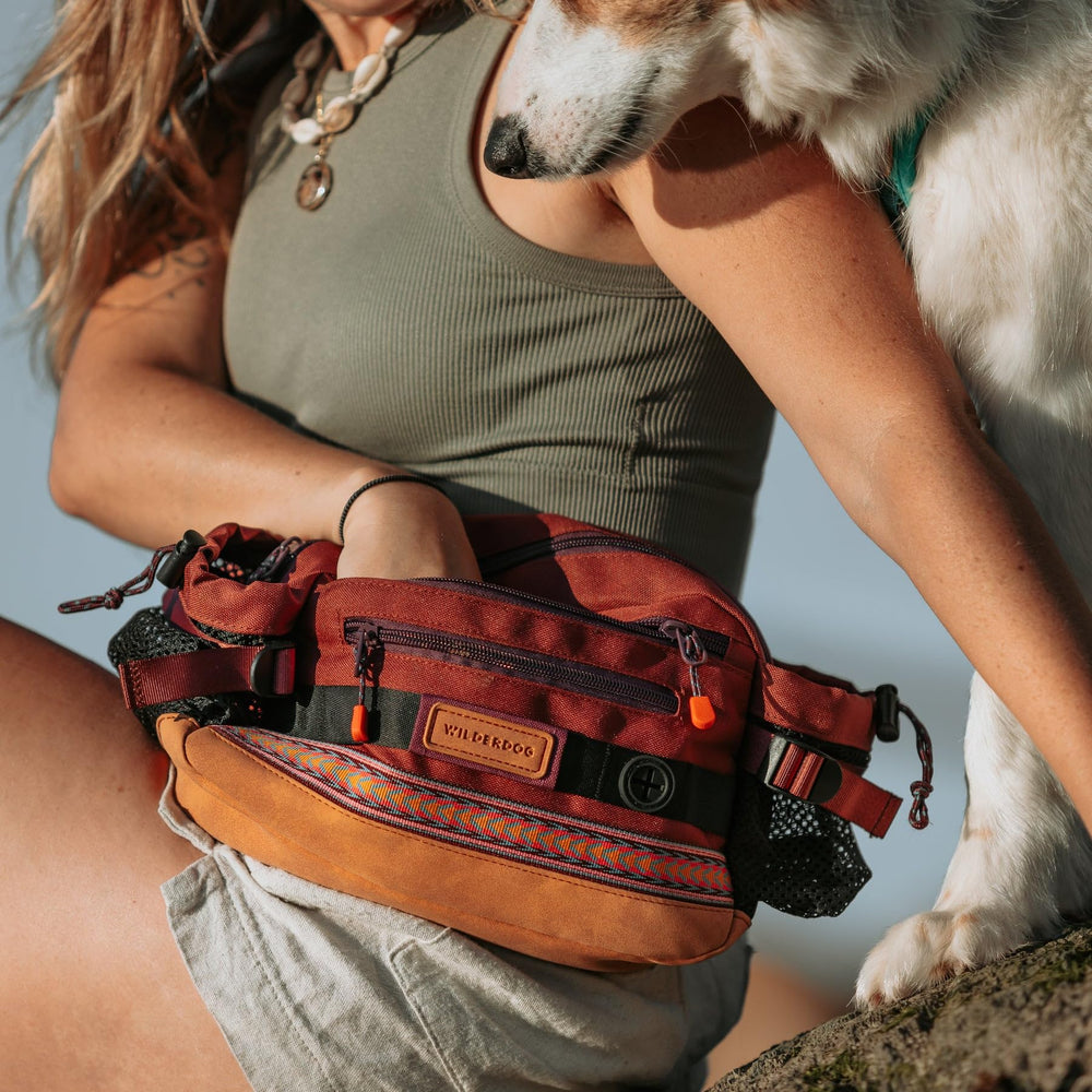 Wilderdog Mega Hip Pack D-ring supports hands-free carry during activities.
