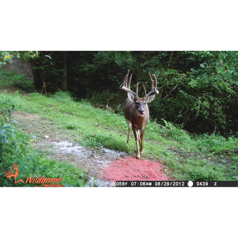 Wildgame Innovations Sugar Beet Crushed blends real beets with roasted soybeans for energy.
