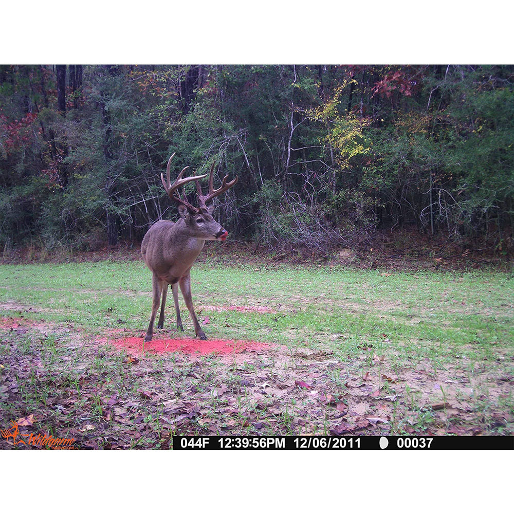 Wildgame Innovations deer attractant delivers balanced protein and fat signals.