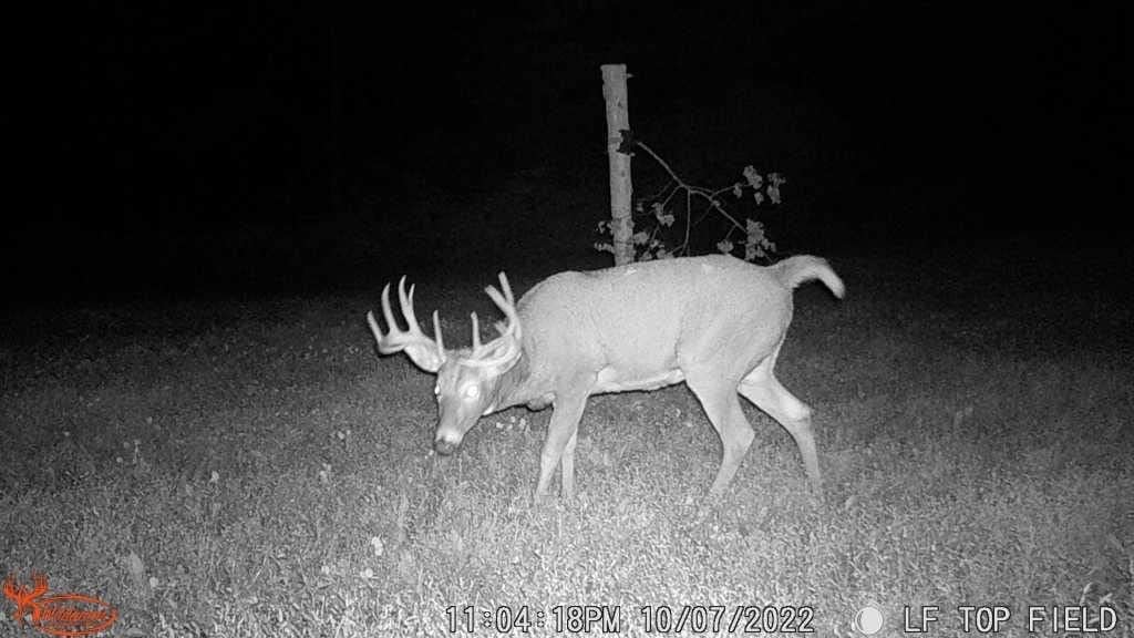 Wildgame Innovations Terra Extreme XD out-of-box ready with strap