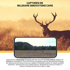 Wildgame Innovations Terra XT 2.0 24MP photos reveal sharp wildlife detail