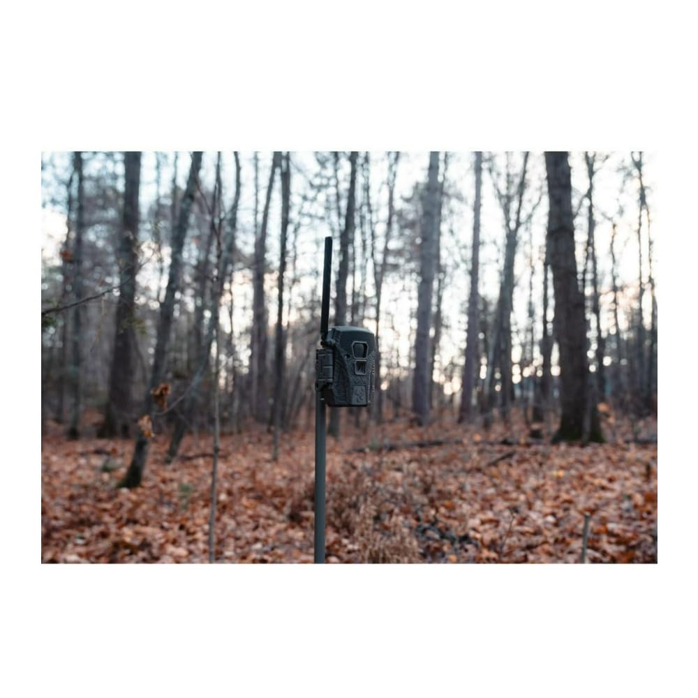 Wildgame Innovations Terra XT 2.0 app interface demonstrating remote control.