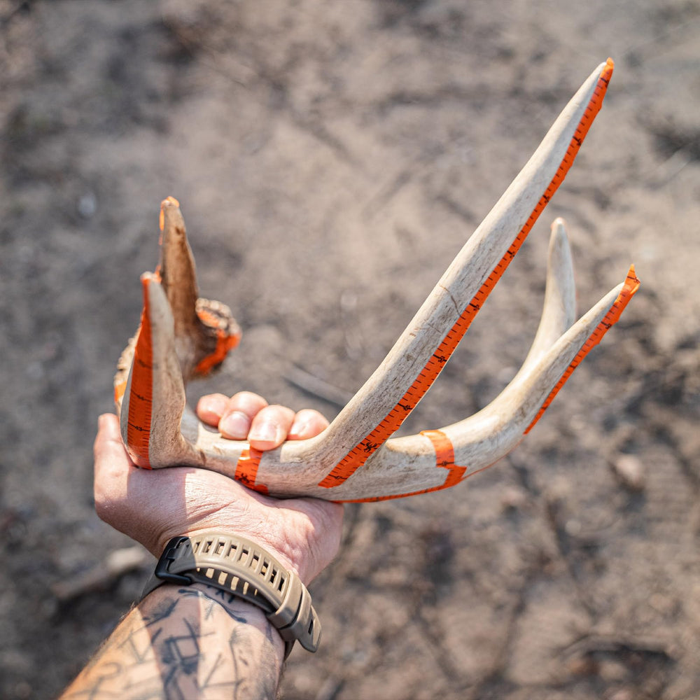 Wildgame Innovations Trophy Tape 3-roll pack highlighting bundle for hunters.