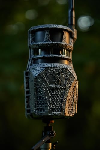 Wildgame Orbit 1080p video showcases real-time activity with clear daytime and night detail.