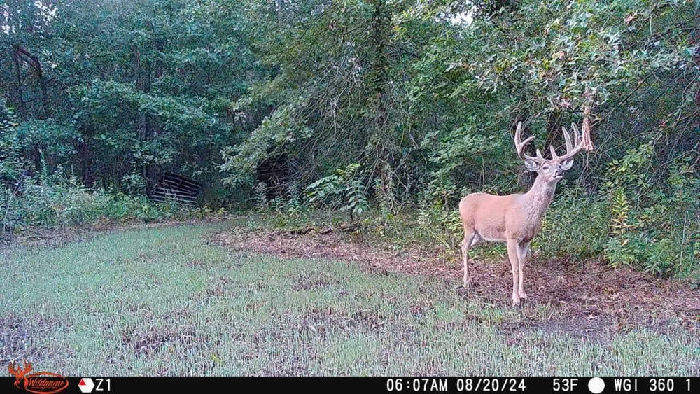 Wildgame Orbit HuntSmart app integration streamlines image management and sharing.