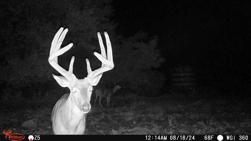 Wildgame Orbit versatile mounting and power options simplify field setup.