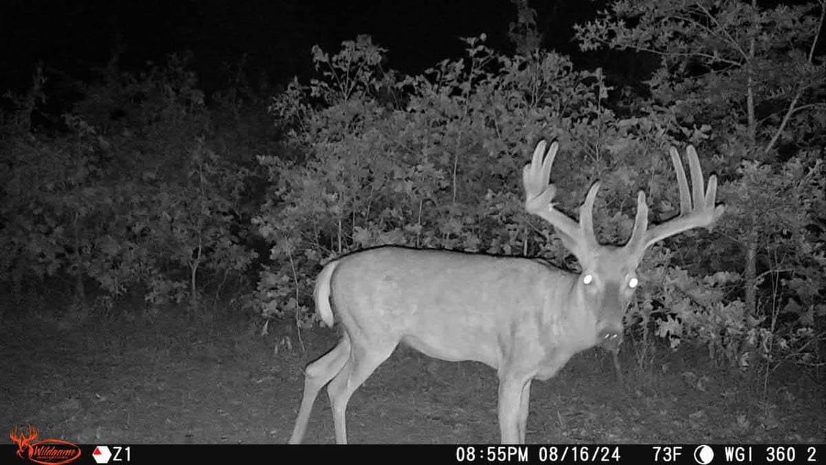 Wildgame Orbit weather data boosts scouting context alongside visuals.