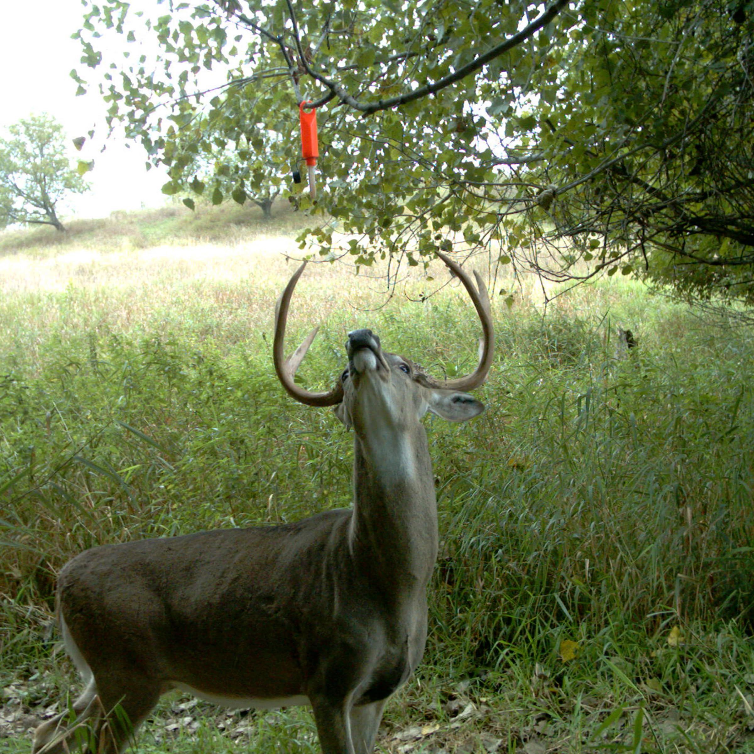 Wildlife Research 363 Quik-Wiks hunting gear accessory