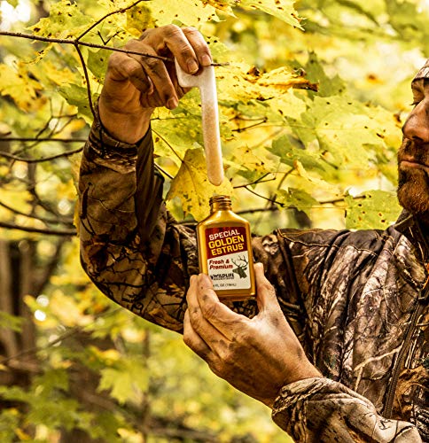 Scent profile hinting at realistic estrus lure for deer encounters in the field.