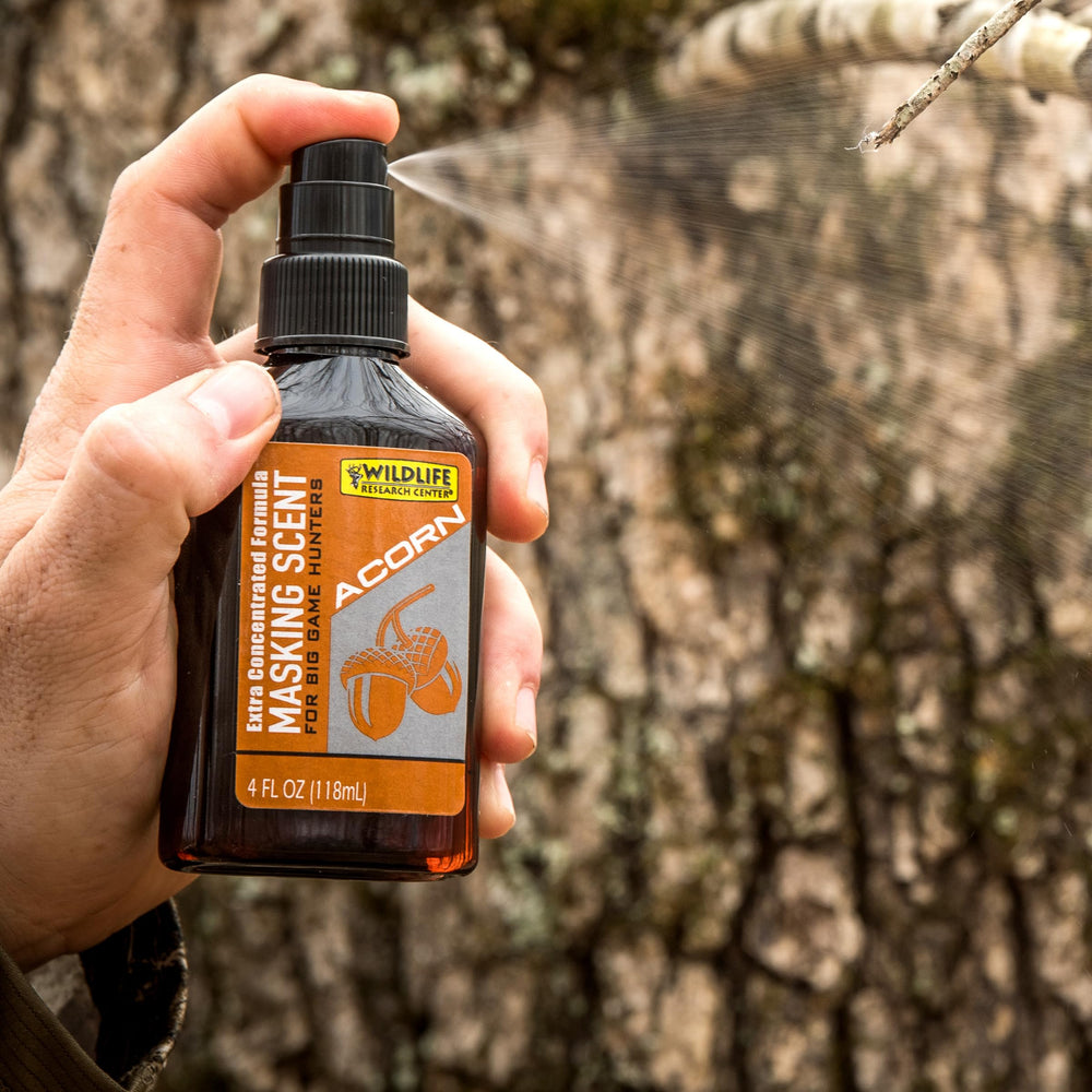 Wildlife Research Center Acorn aroma in woodland setting for natural scent blend