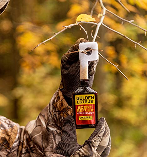 Field testing results show improved deer approach with Golden Estrus.