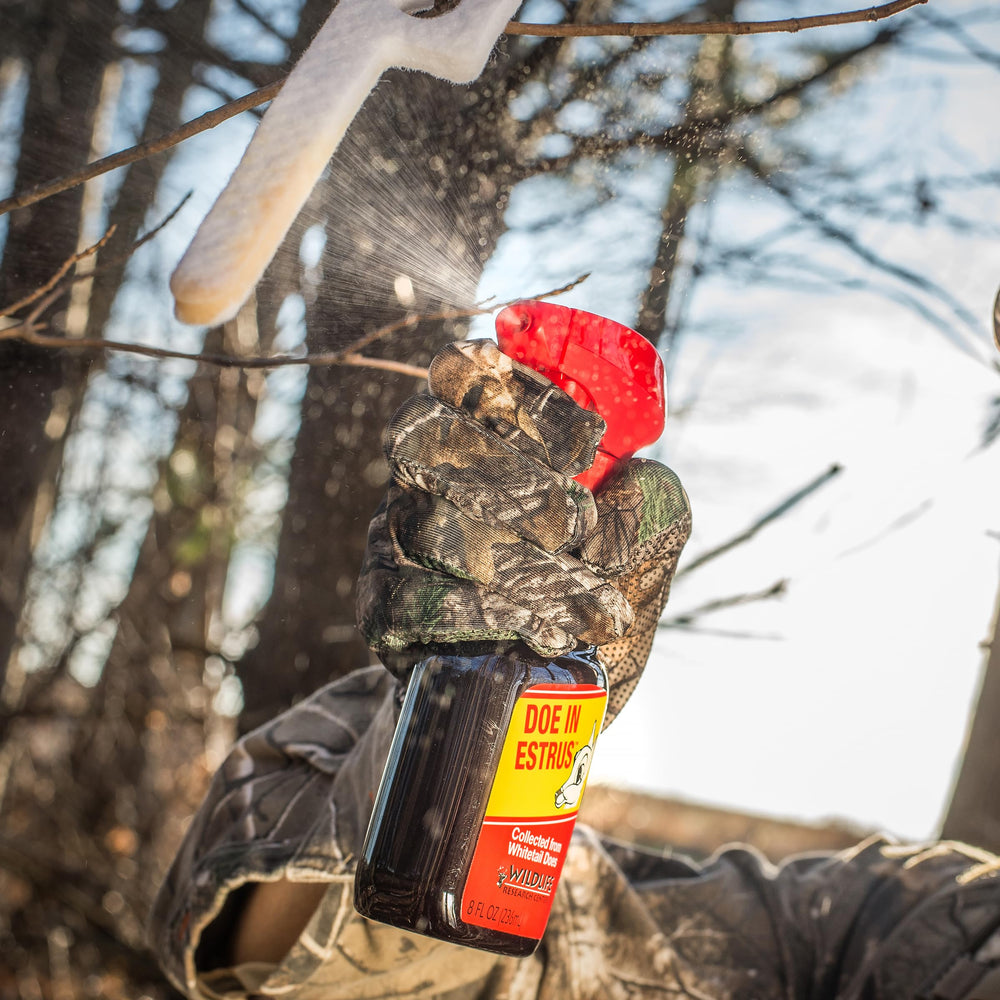 Wildlife Research Center forest hunting setup with doe-estrus attractant.