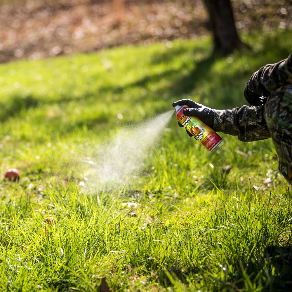 Wildlife Research Center forest stand with attractant ready for field use