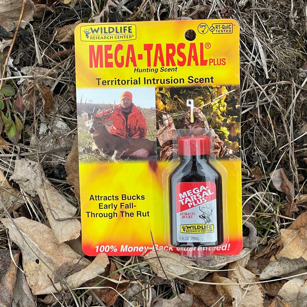 Mega-Tarsal Plus deer attractor bottle with scent and urine drippings at stand