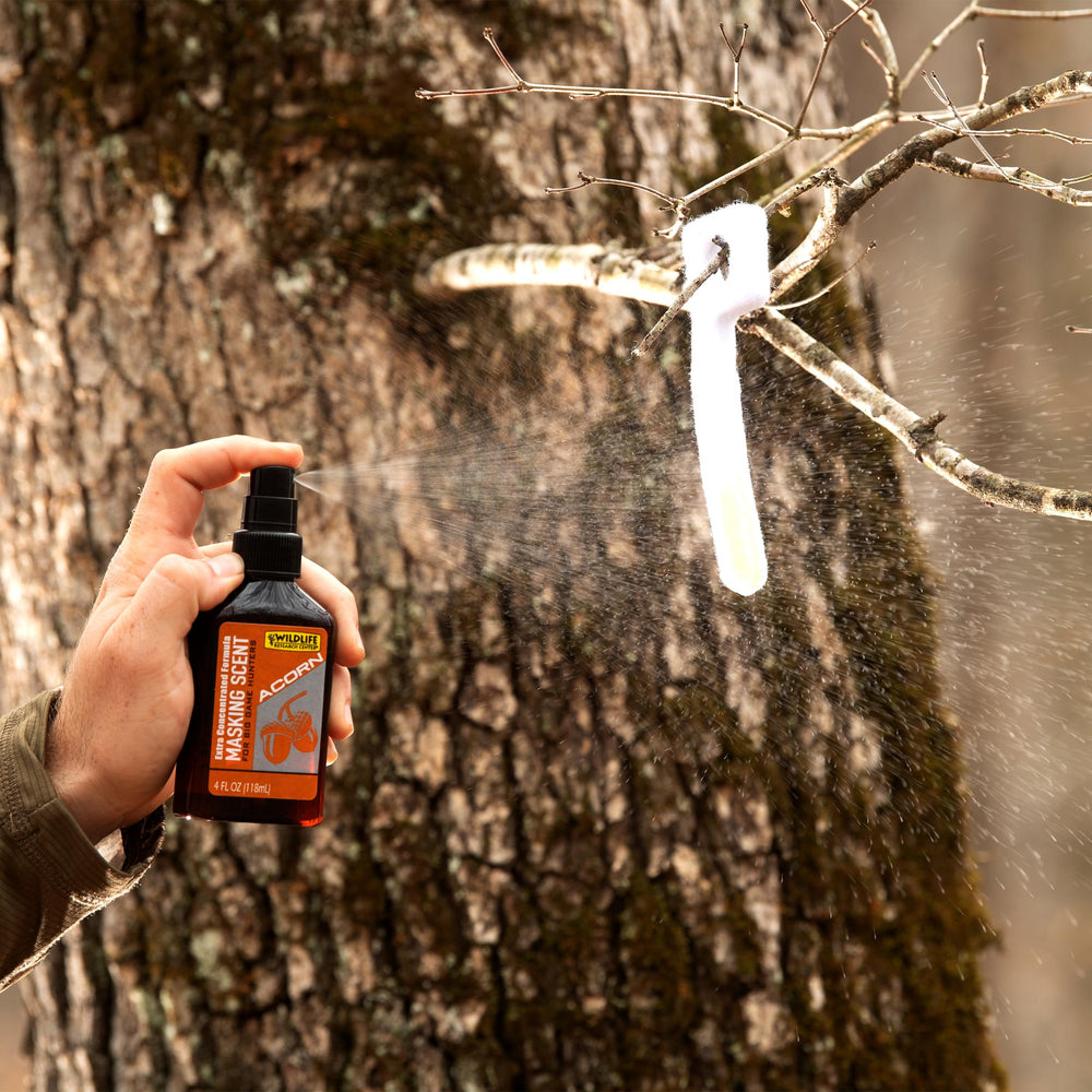 Wildlife Research Center Acorn Masking Scent natural pine aroma detail