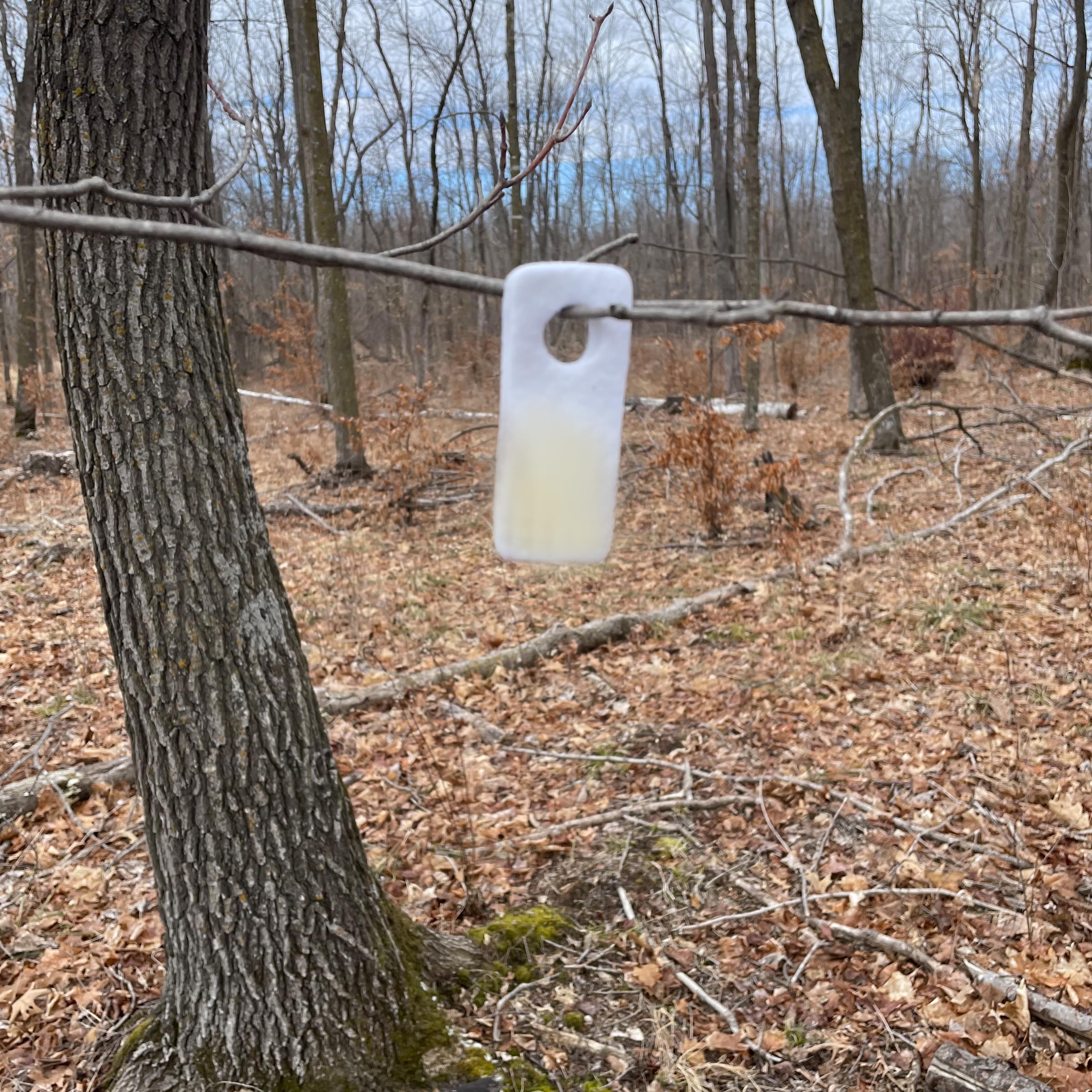 Wildlife Research Center Pro-Wick four-pack packaging for hunters