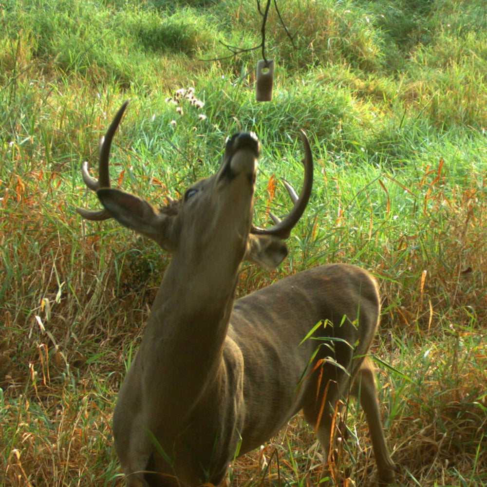 Wildlife Research Center Pro-Wick in a hunting setup with scent distribution