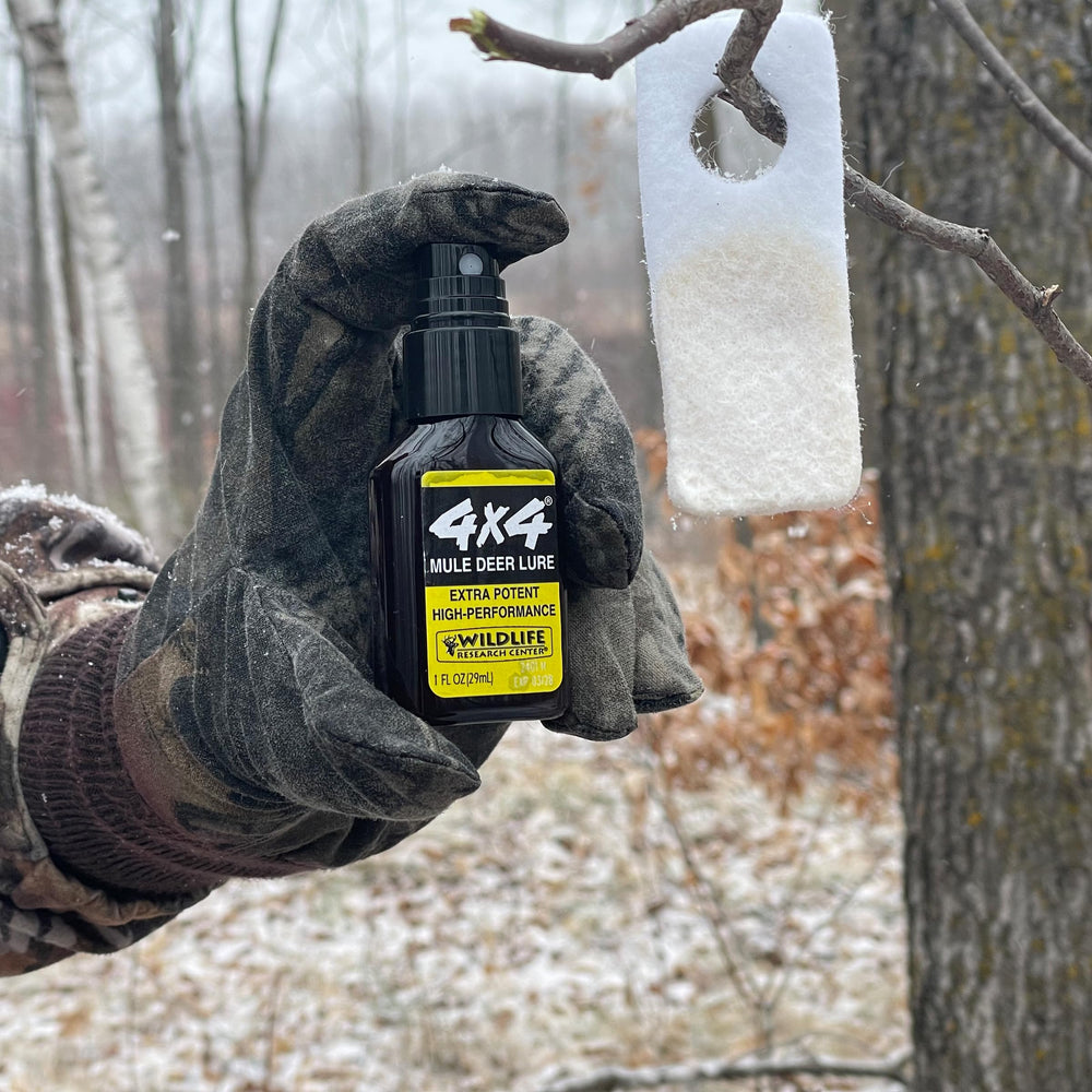 Wildlife Research Center rut-season attractant in practical use.