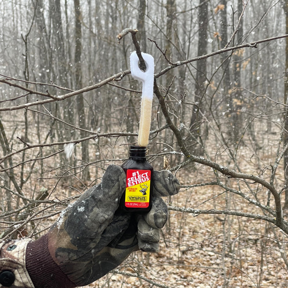 Wildlife Research Center Secret Musk enhances attraction in field conditions