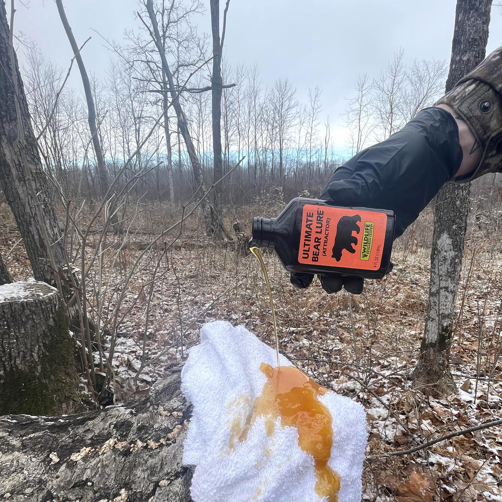 Wildlife Research Center Ultimate Bear Lure game-trail usage enhances visibility near cameras.