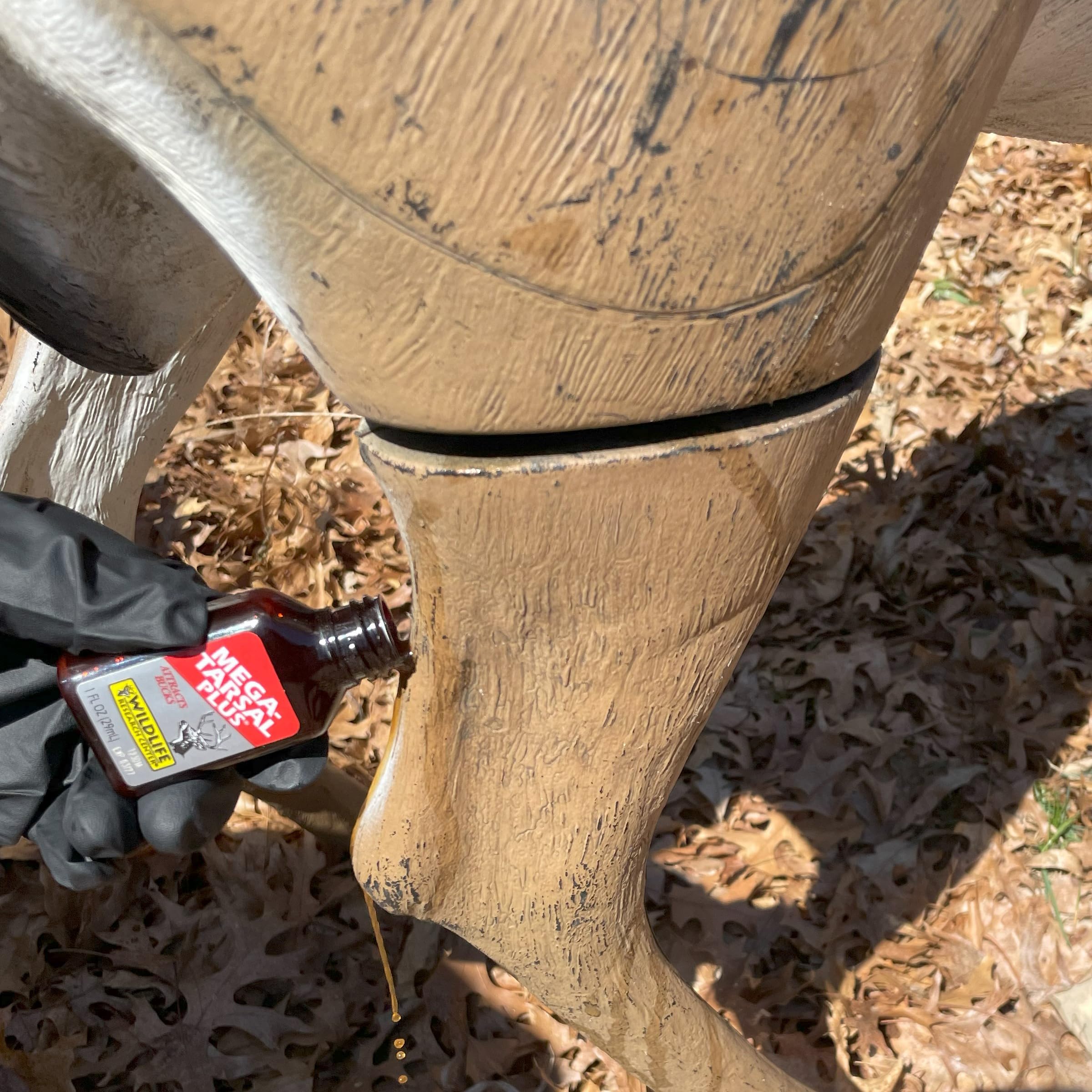 Territorial intrusion scent concept for whitetail deer attractant