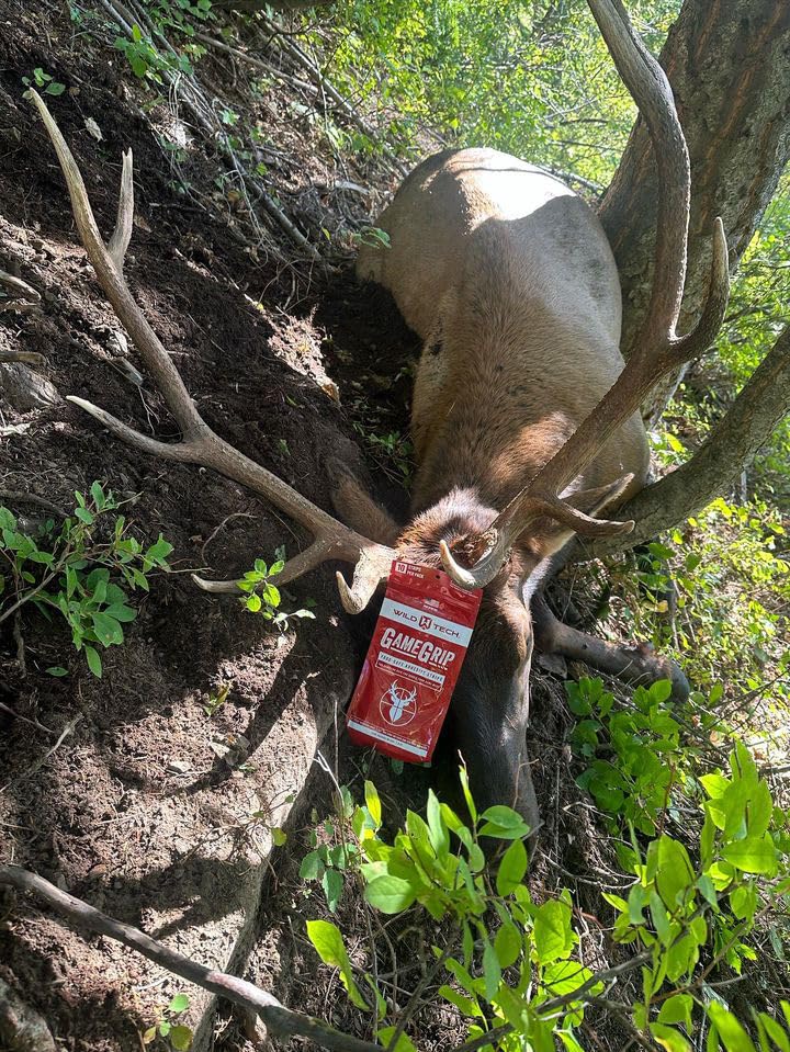 WildTech GameGrip big game ready solution for carcass prep